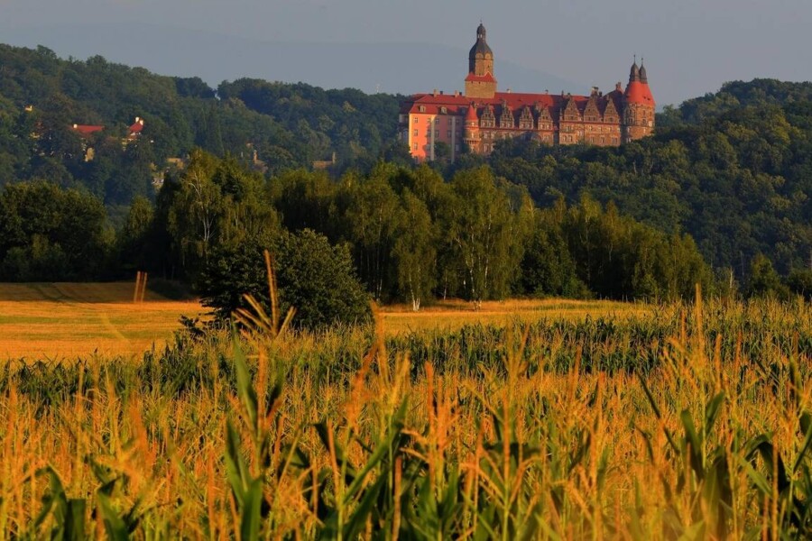 Gdzie pojechać na Dolny Śląsk jeśli szukasz ciekawych miejsc?