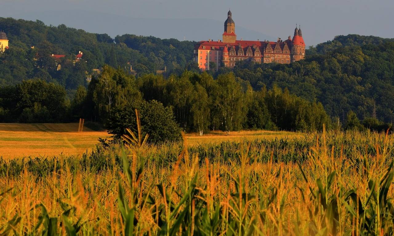 Gdzie pojechać na Dolny Śląsk jeśli szukasz ciekawych miejsc?