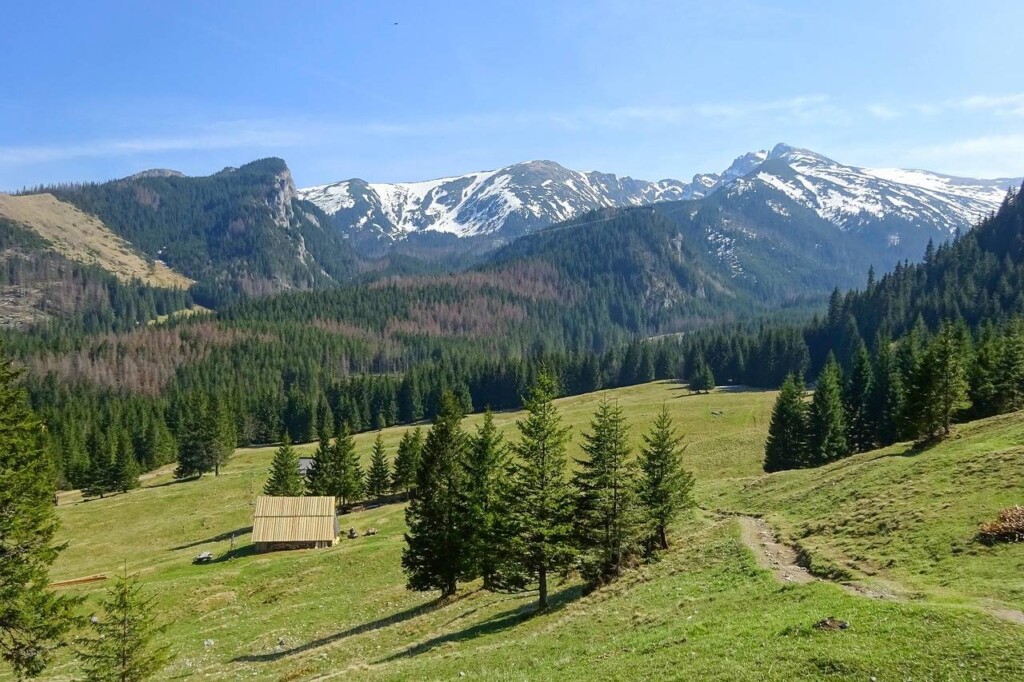 Kaszubski park krajobrazowy co warto odwiedzić podczas wyprawy