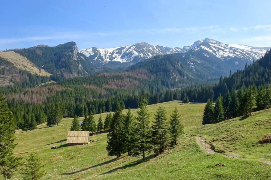 Kaszubski park krajobrazowy co warto odwiedzić podczas wyprawy