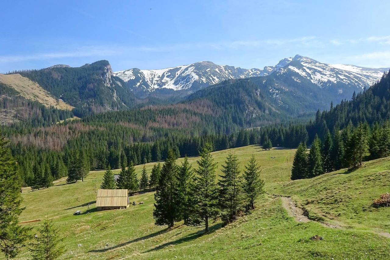 Kaszubski park krajobrazowy co warto odwiedzić podczas wyprawy